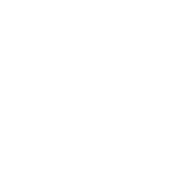 VOX SIGNS Logo